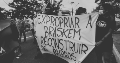 Expropriar a Braskem