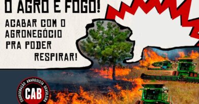 O AGRO É FOGO! ACABAR COM O AGRONEGÓCIO PARA PODER RESPIRAR!