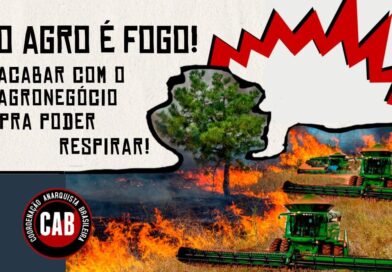 O AGRO É FOGO! ACABAR COM O AGRONEGÓCIO PARA PODER RESPIRAR!